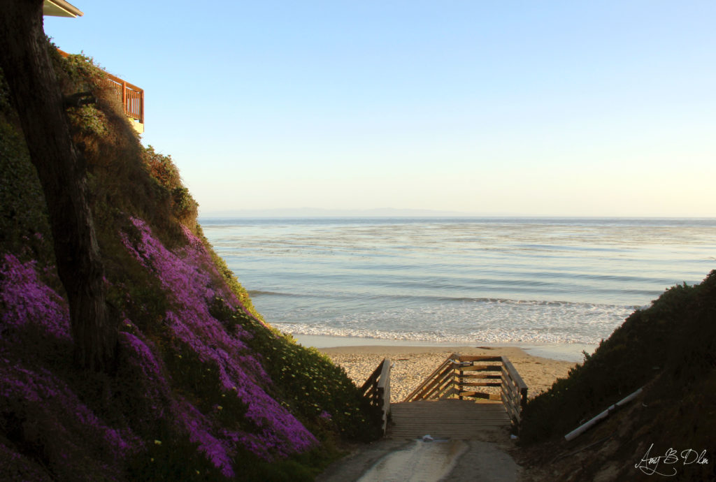 Plage de Goleta en Californie