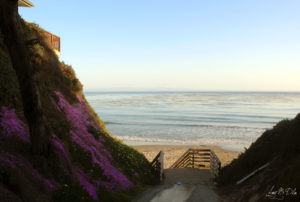 Plage de Goleta en Californie