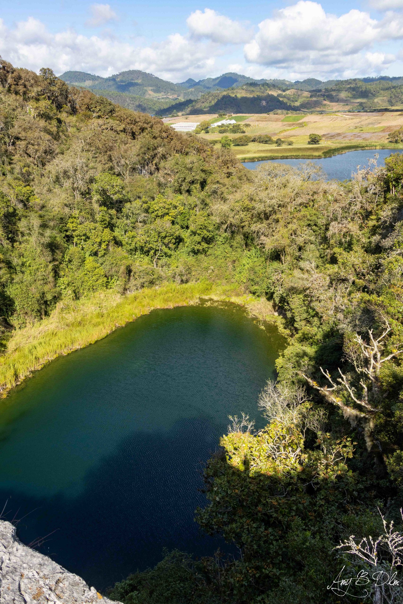 Les cenotes du site maya de chinkultic dans le chiapas