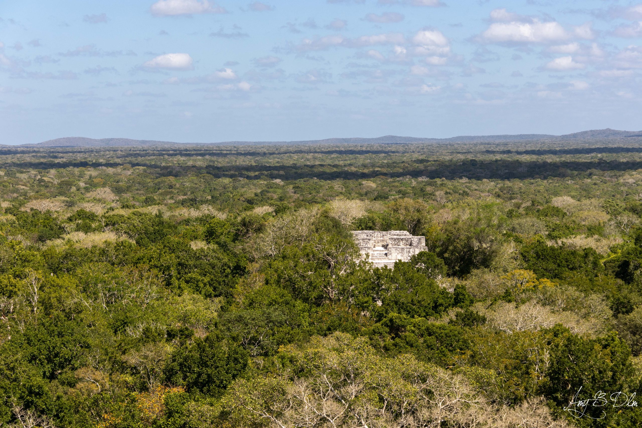 Vue sur la jungle de Calakmul