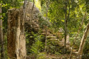 Les ruines de Calakmul englouties par la jungle