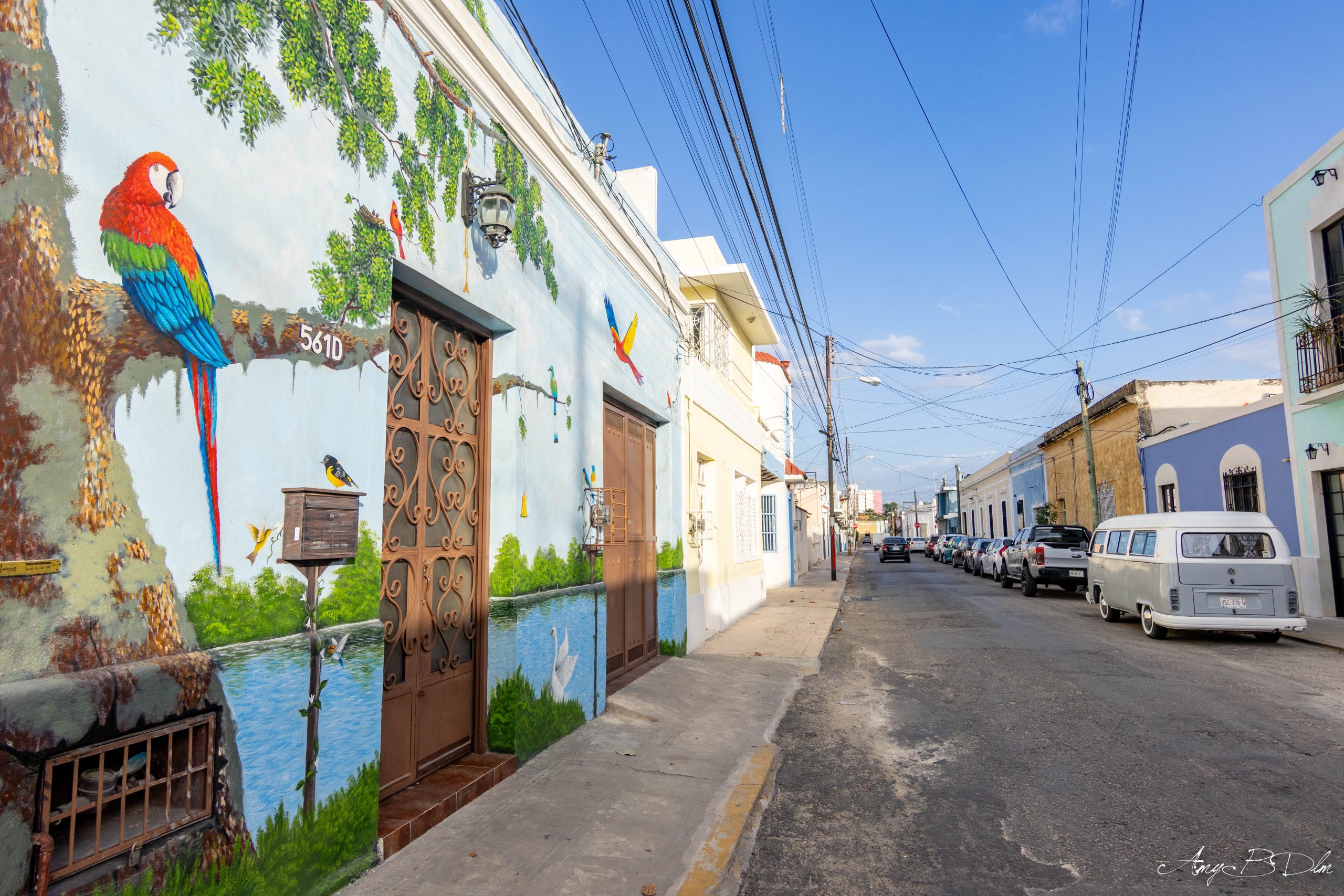 dessins sur les murs dans les rues de merida au mexique