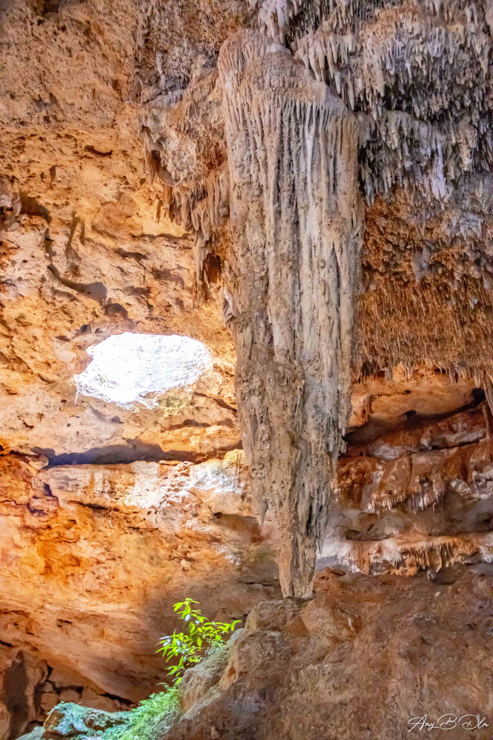 Grande stalactite en calcaire dans un cenote ferme au Mexique