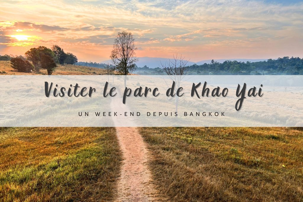sentier dans le parc national de khao yai au lever du soleil