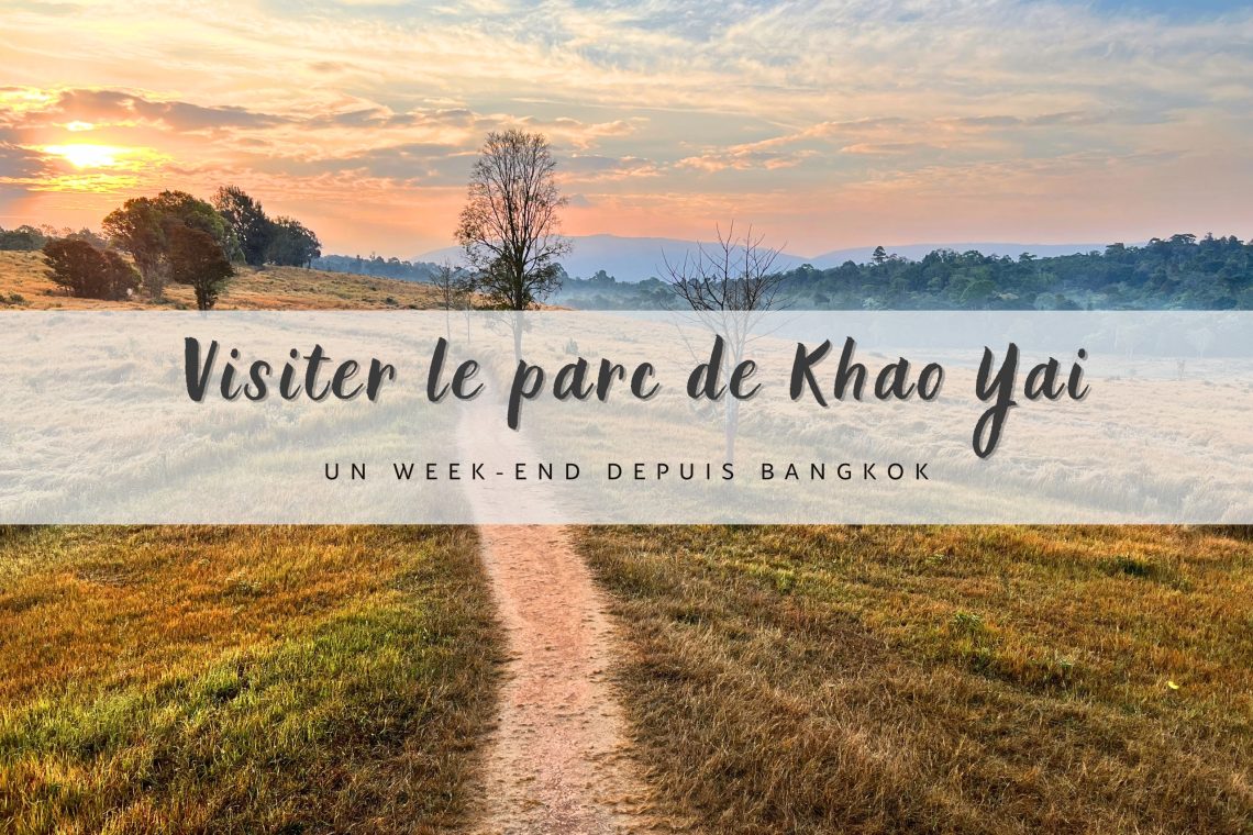 sentier dans le parc national de khao yai au lever du soleil
