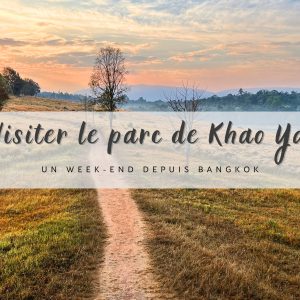 sentier dans le parc national de khao yai au lever du soleil