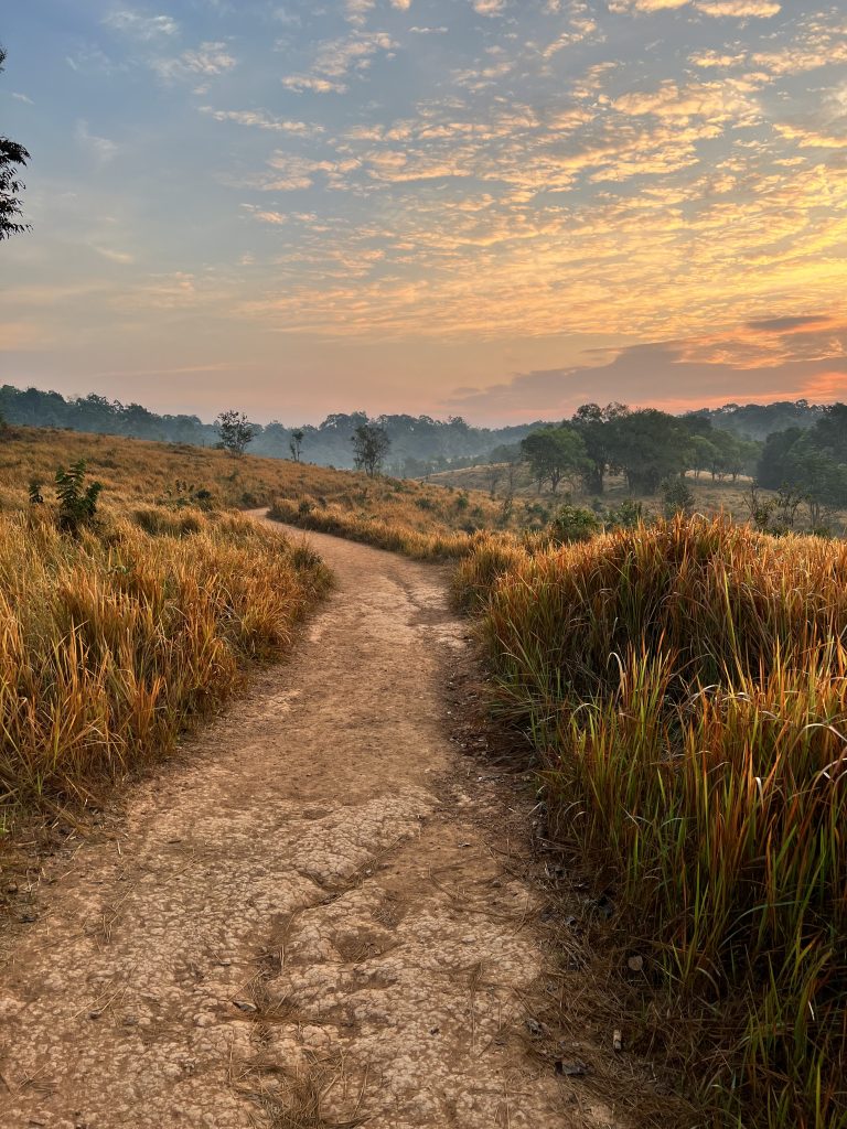Un sentier au lever du jour dans un paysage de savane a khao yai en thailande