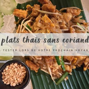 pad thai un plat sans coriandre