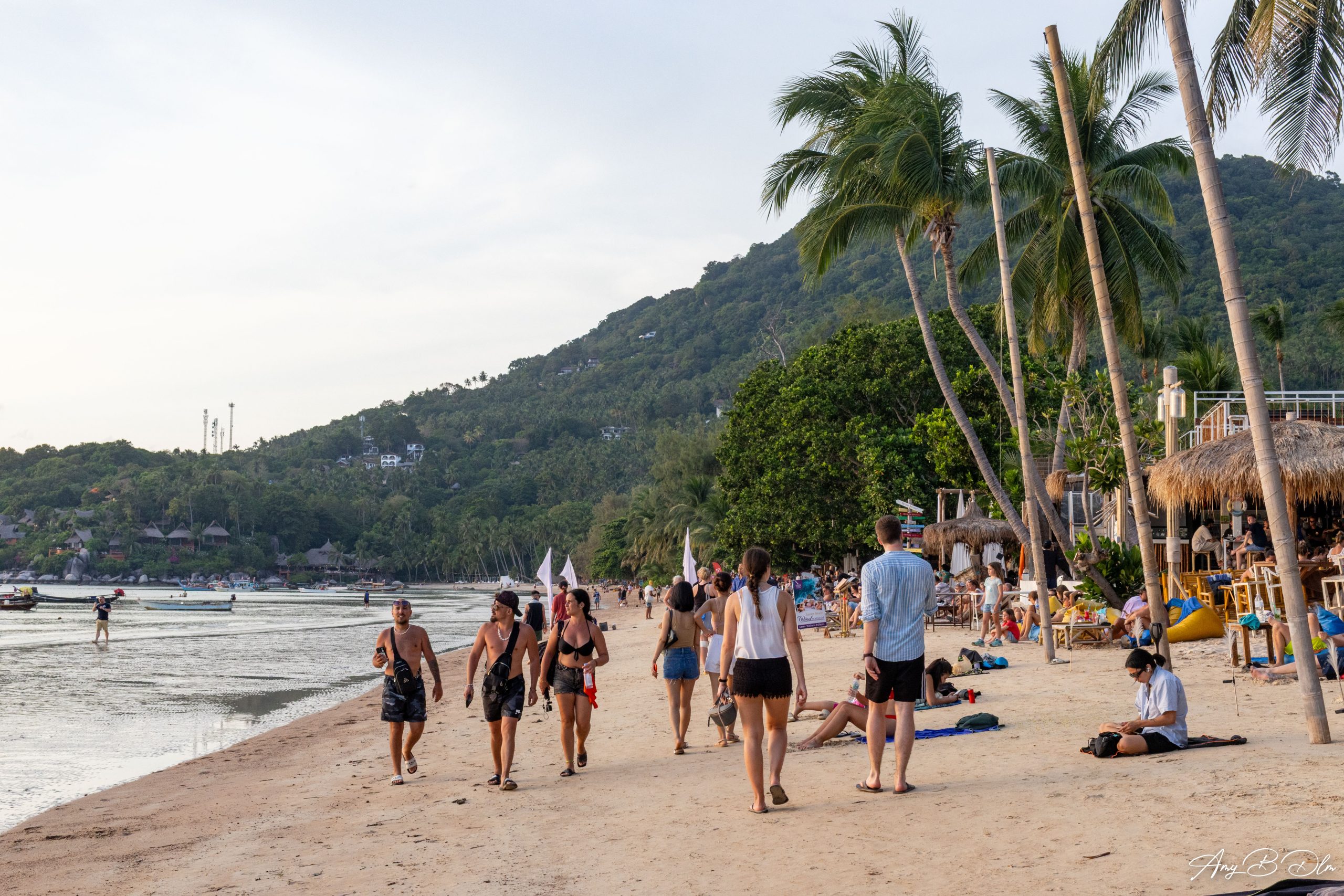 plage de sairee beach a koh tao en fin de journee