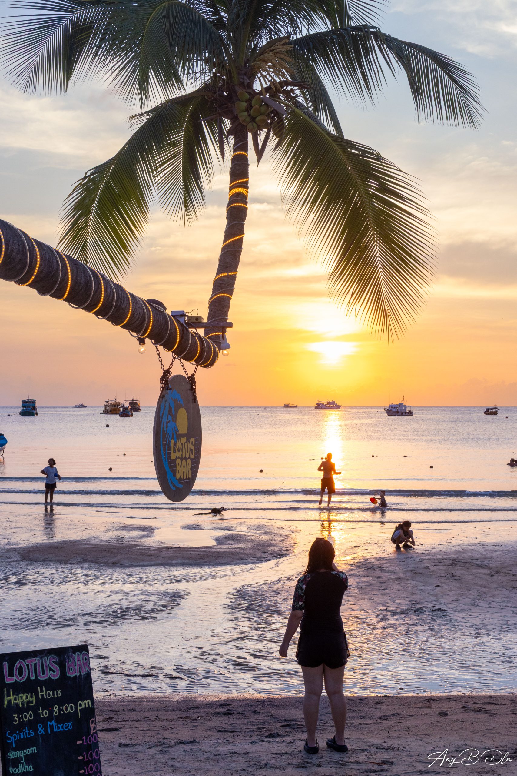 Palmier coucher sur la plage de Sairee a Koh Tao