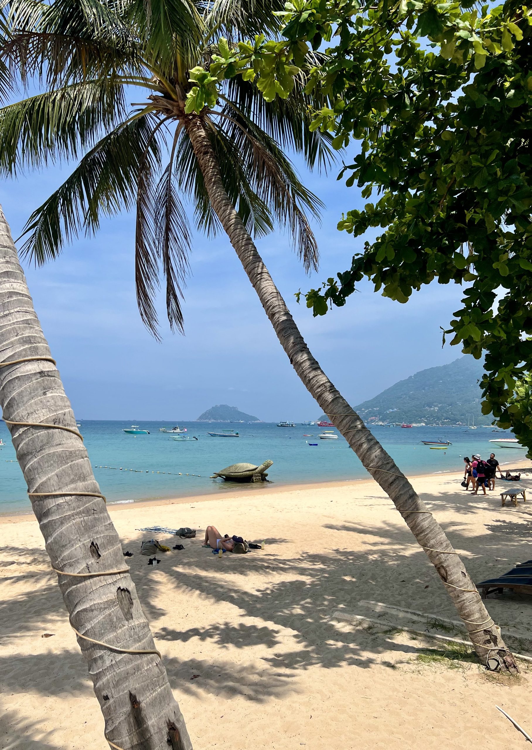 plage de mae haad avec sa tortue emblematique